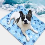 Instant Cooling Pet Mat with Snowflake Pattern