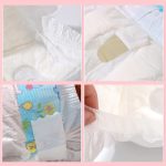 Disposable Super Absorbent Pet Diapers for Dogs - Image 2