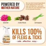 NanoVet Natural Flea and Tick Control Spray - Image 2